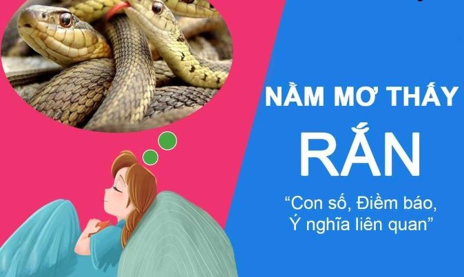 Mơ thấy rắn đánh con bao nhiêu